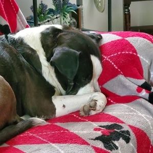 Meet your Posher, Chad